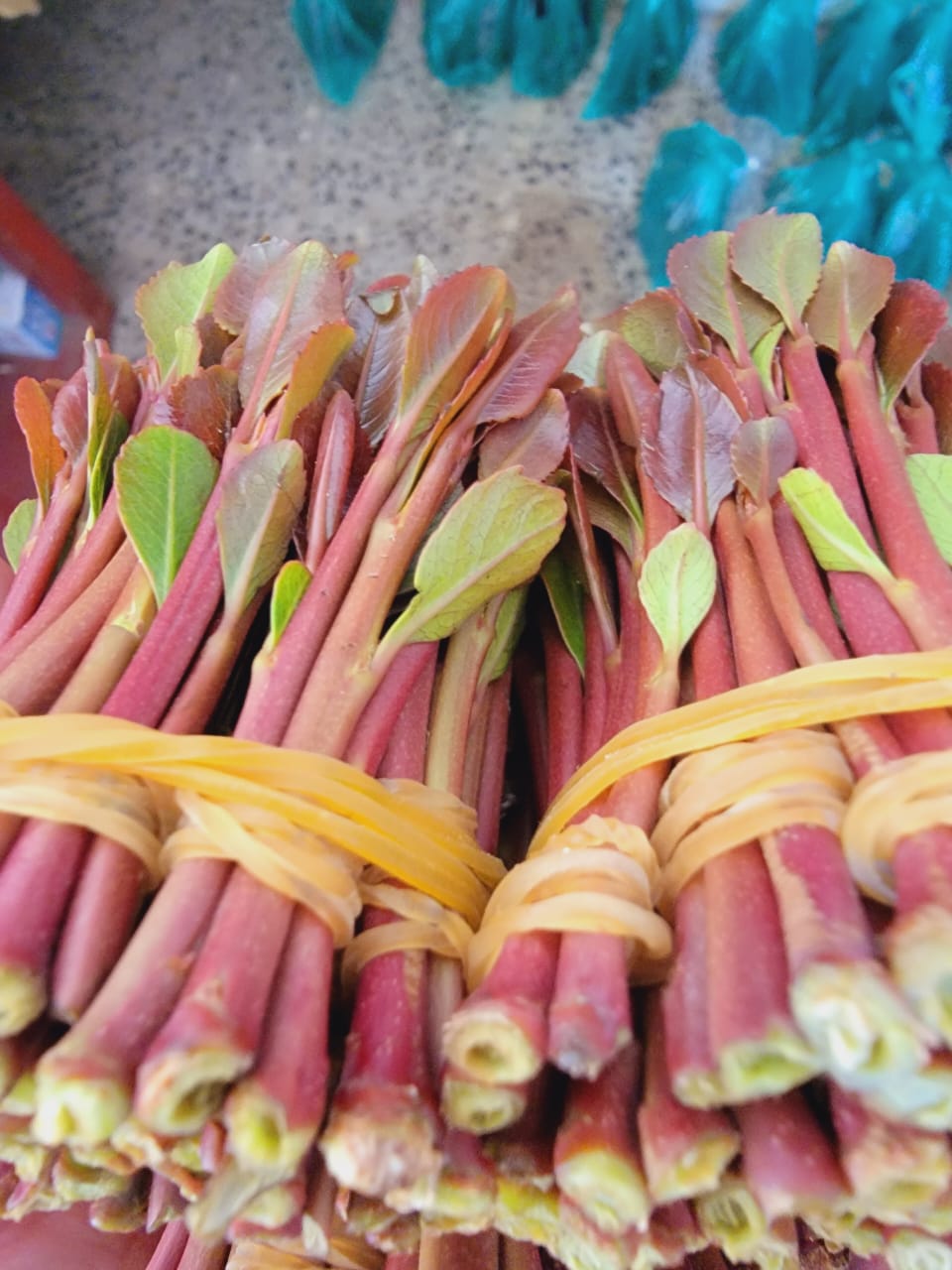 قات يمني أصيل